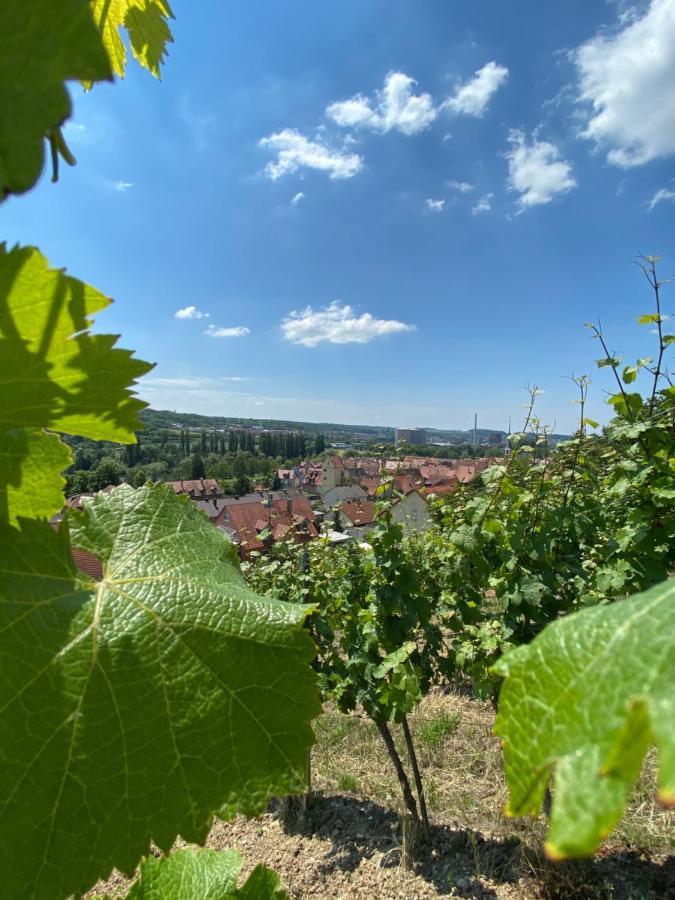 Ferienwohnung Wohlsein Frickenhausen am Main Exteriör bild